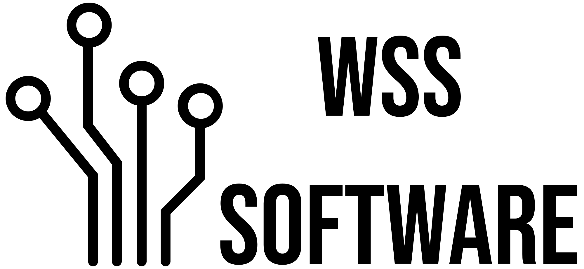 WSS Software Logo